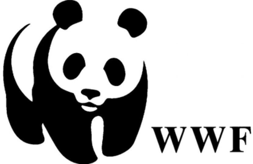 The WWF is one of many organisations who have backed the Green Alliance's Pledge for the Environment