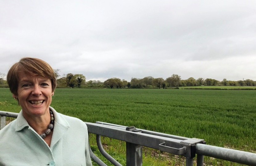 Dame Caroline Spelman has long campaigned to protect the Green Belt