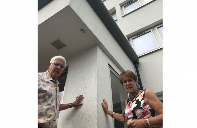 Dame Caroline was joined by Cllr Ken Hawkins who visited Chlemsley Wood to inspect the cladding on tower blocks