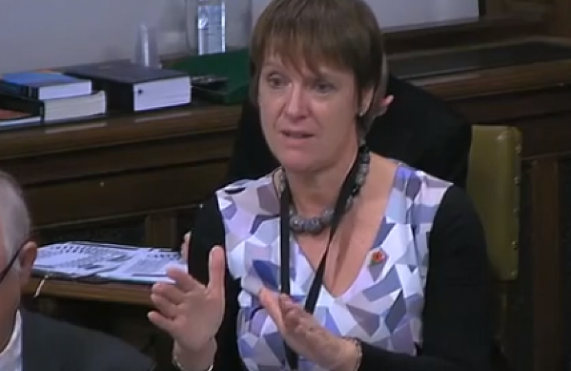 Caroline debating the school funding formula in Westminster Hall